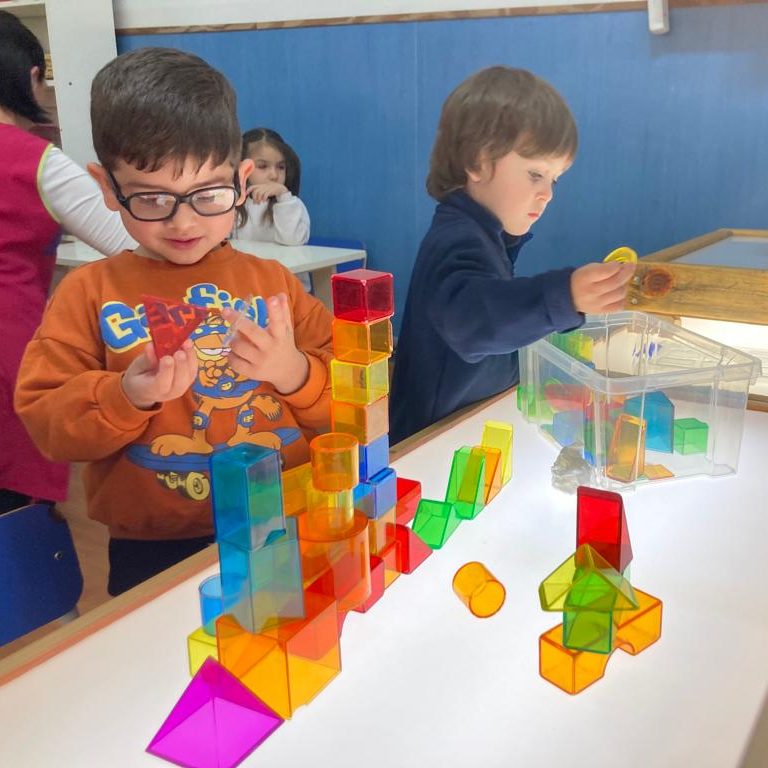 Neuroconstructivisme